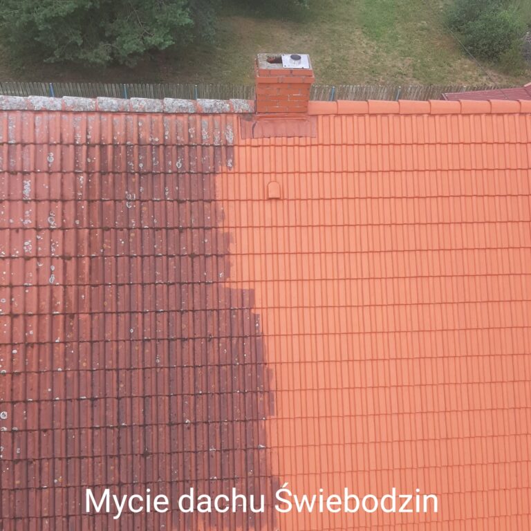 mycie-dachu-swiebodzin-768x768