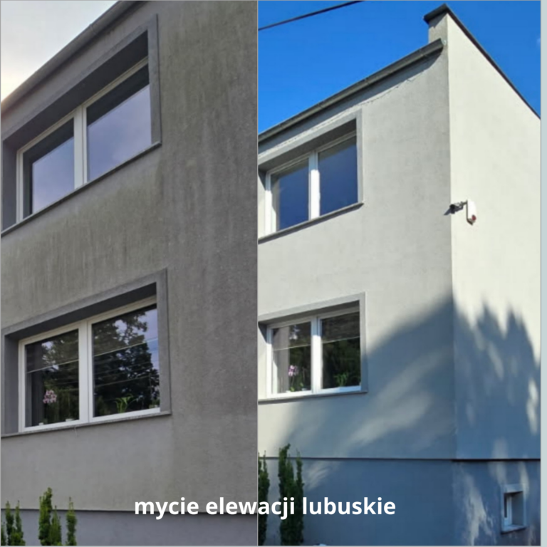 mycie-elewacji-lubuskie-768x768