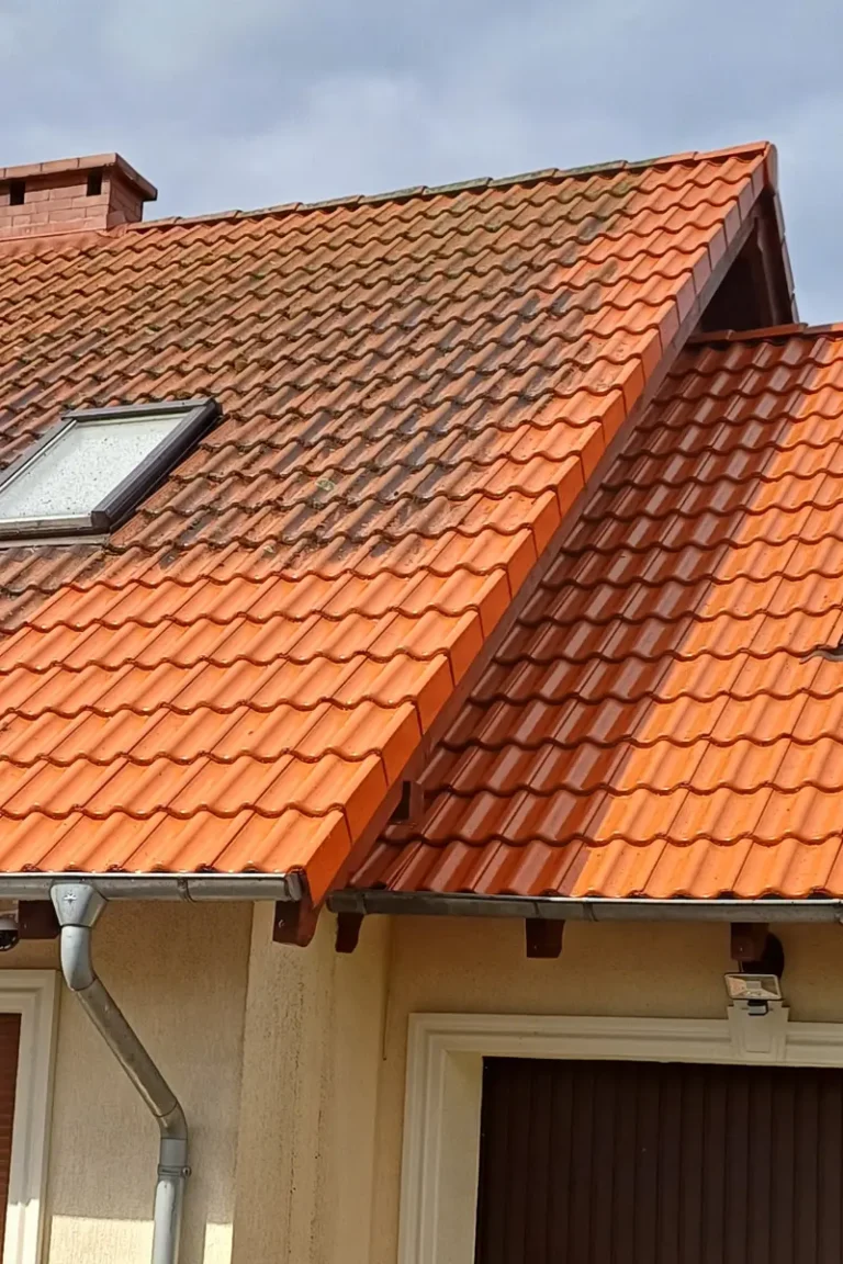 dach przed czyszczeniem